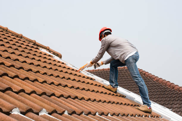 Best Roofing for New Construction  in Pine Crest, TN