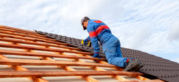 Best Skylight Installation and Repair  in Pine Crest, TN